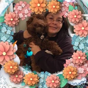 Meet your Posher, Michelle